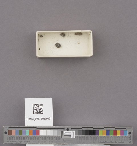 NSF ADBC EPICC TCN