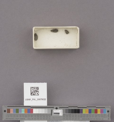 NSF ADBC EPICC TCN
