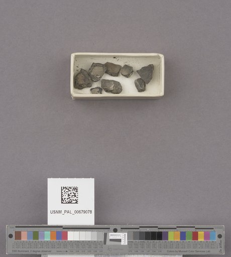 NSF ADBC EPICC TCN