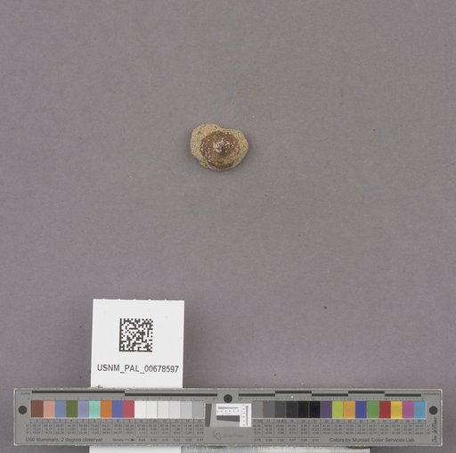 NSF ADBC EPICC TCN