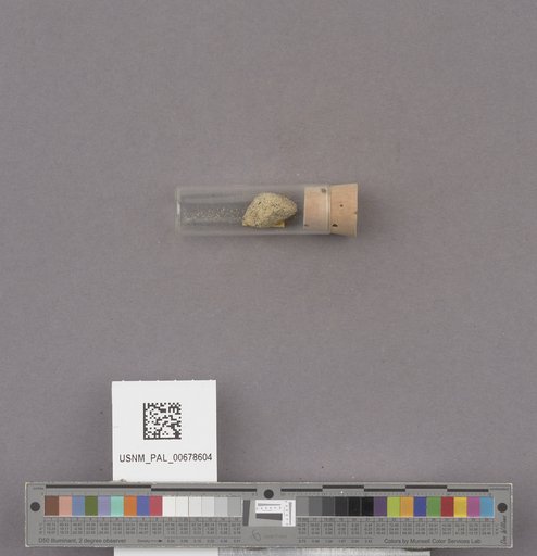 NSF ADBC EPICC TCN