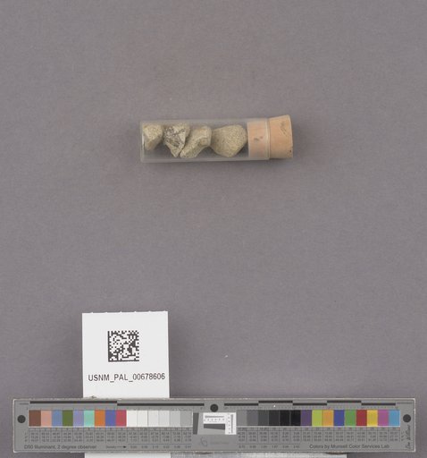 NSF ADBC EPICC TCN