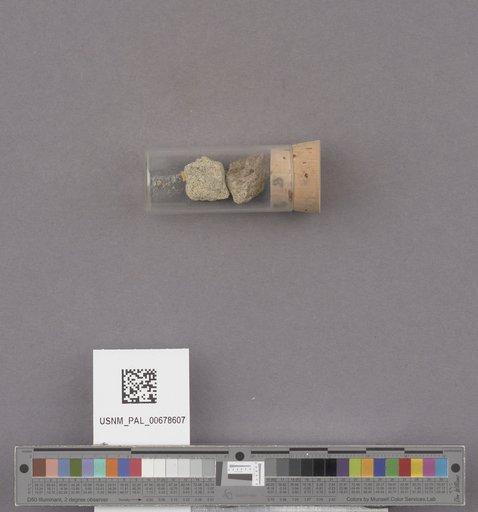 NSF ADBC EPICC TCN