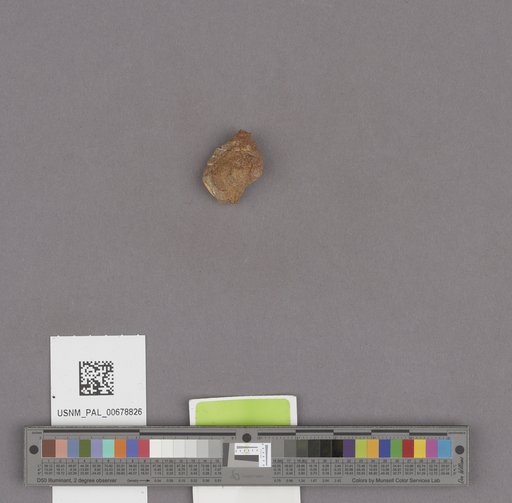 NSF ADBC EPICC TCN