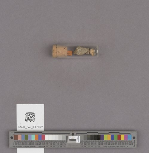 NSF ADBC EPICC TCN