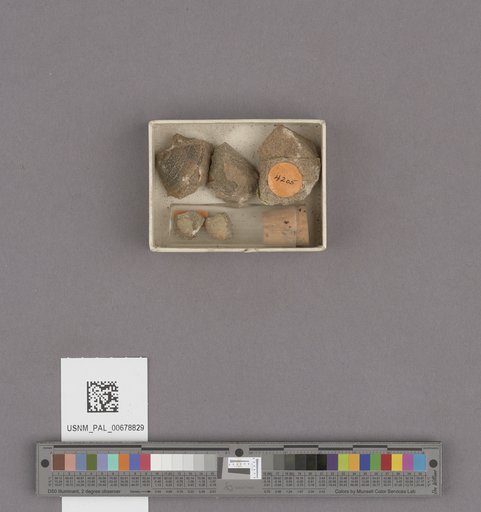NSF ADBC EPICC TCN