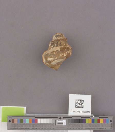 NSF ADBC EPICC TCN