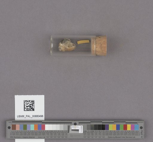 NSF ADBC EPICC TCN