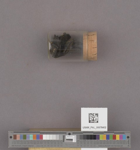 NSF ADBC EPICC TCN