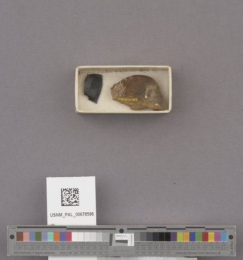 NSF ADBC EPICC TCN