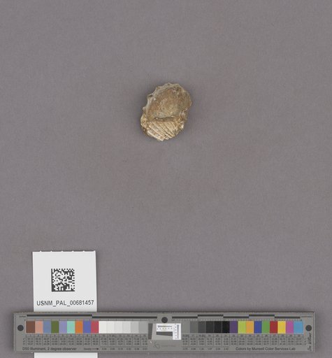 NSF ADBC EPICC TCN
