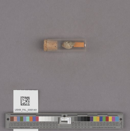 NSF ADBC EPICC TCN