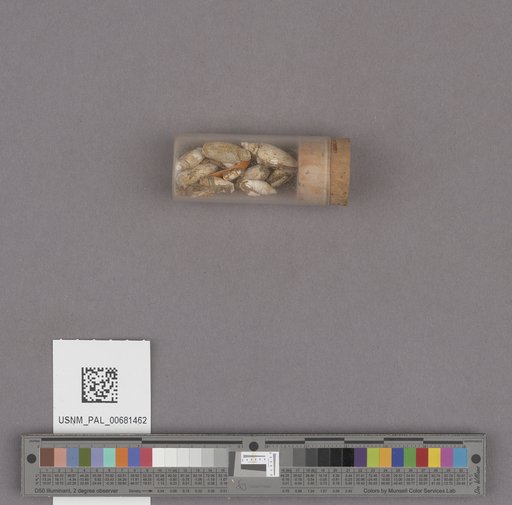 NSF ADBC EPICC TCN