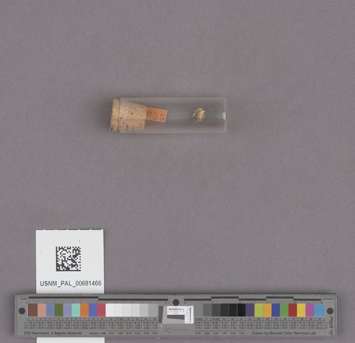 NSF ADBC EPICC TCN