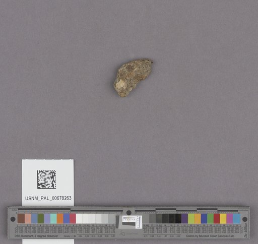 NSF ADBC EPICC TCN