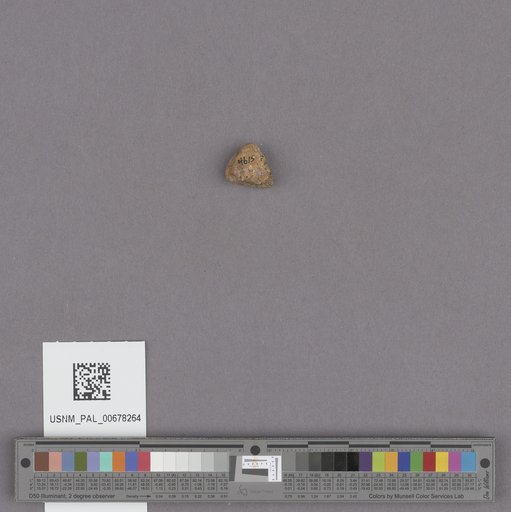NSF ADBC EPICC TCN