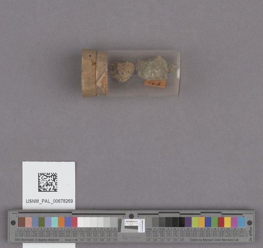 NSF ADBC EPICC TCN