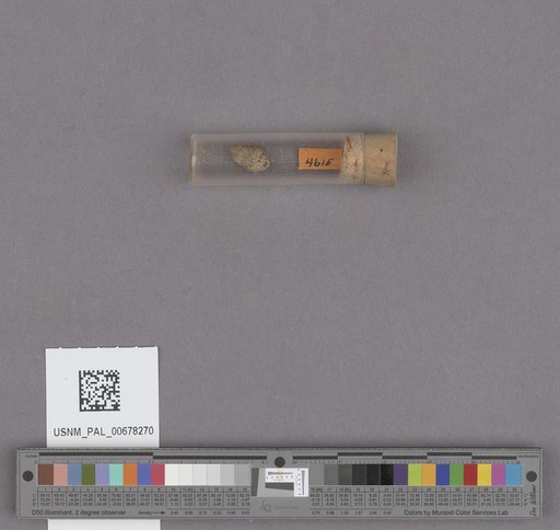 NSF ADBC EPICC TCN