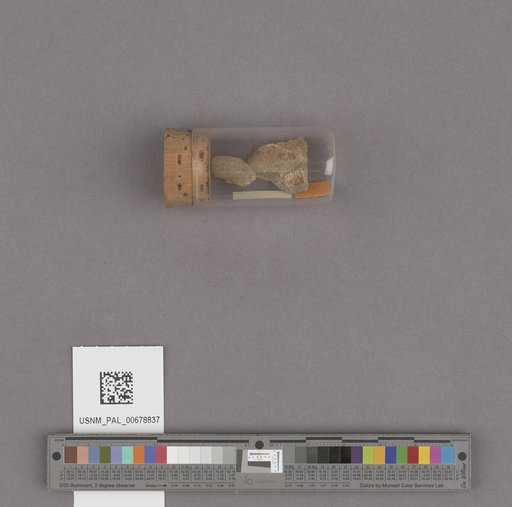 NSF ADBC EPICC TCN