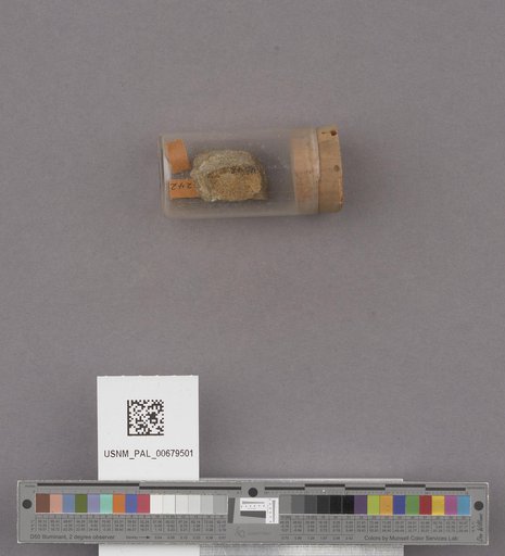 NSF ADBC EPICC TCN