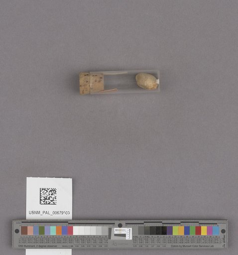 NSF ADBC EPICC TCN