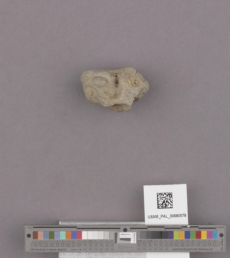 NSF ADBC EPICC TCN