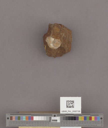 NSF ADBC EPICC TCN