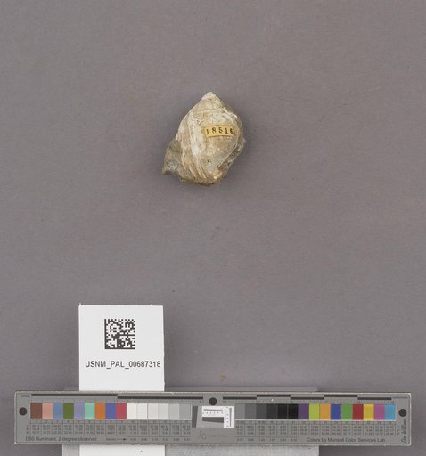NSF ADBC EPICC TCN