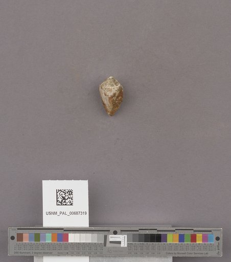 NSF ADBC EPICC TCN