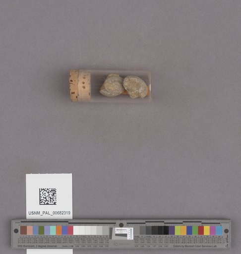 NSF ADBC EPICC TCN
