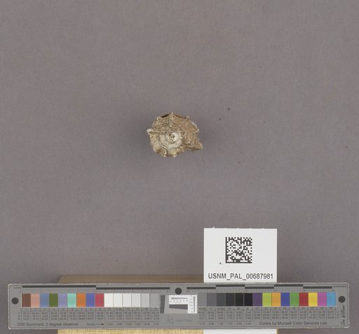 NSF ADBC EPICC TCN
