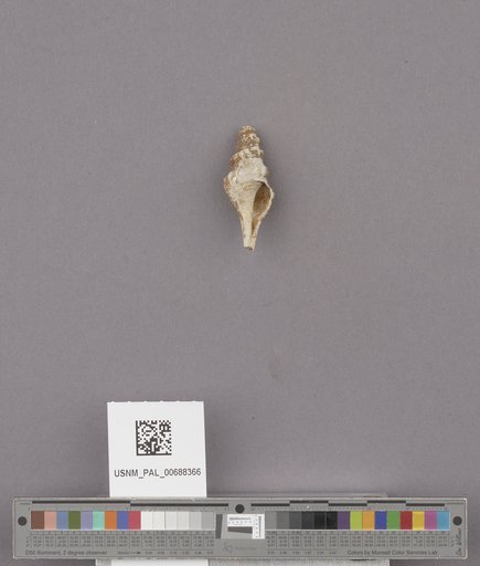 NSF ADBC EPICC TCN