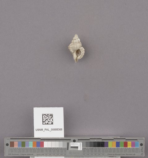 NSF ADBC EPICC TCN