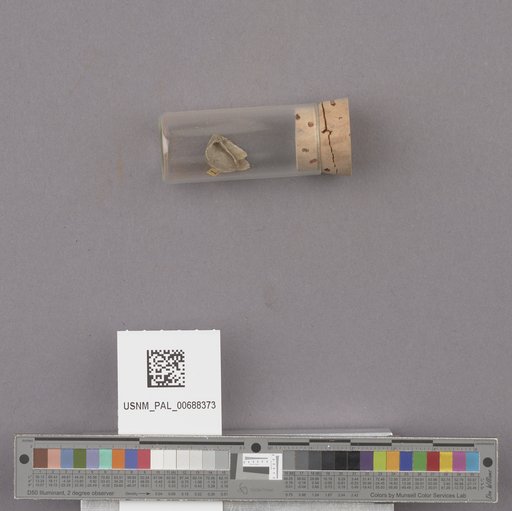 NSF ADBC EPICC TCN