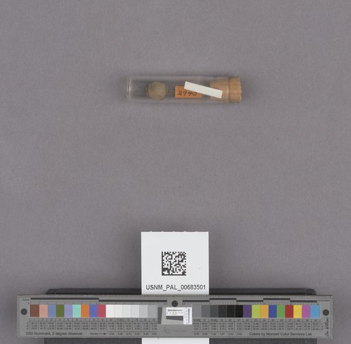 NSF ADBC EPICC TCN