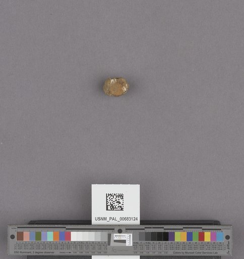 NSF ADBC EPICC TCN