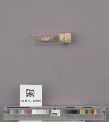 NSF ADBC EPICC TCN
