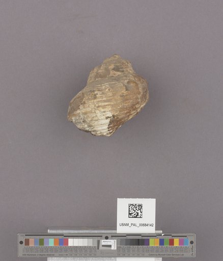 NSF ADBC EPICC TCN