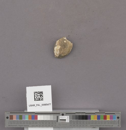NSF ADBC EPICC TCN