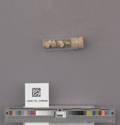 NSF ADBC EPICC TCN