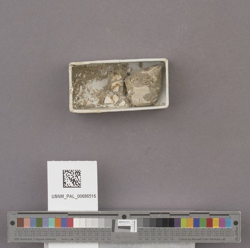 NSF ADBC EPICC TCN
