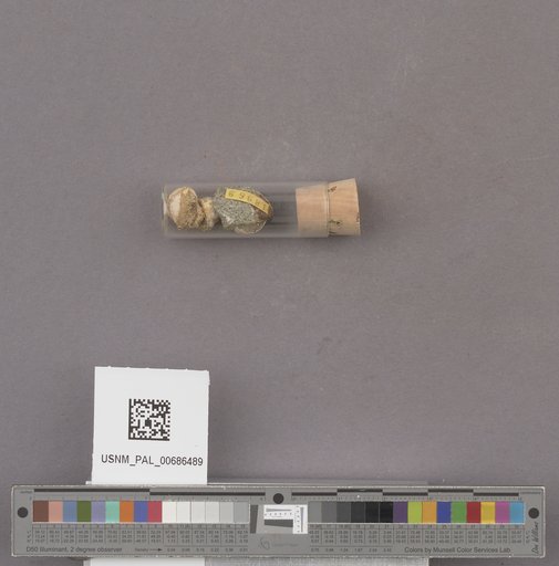 NSF ADBC EPICC TCN