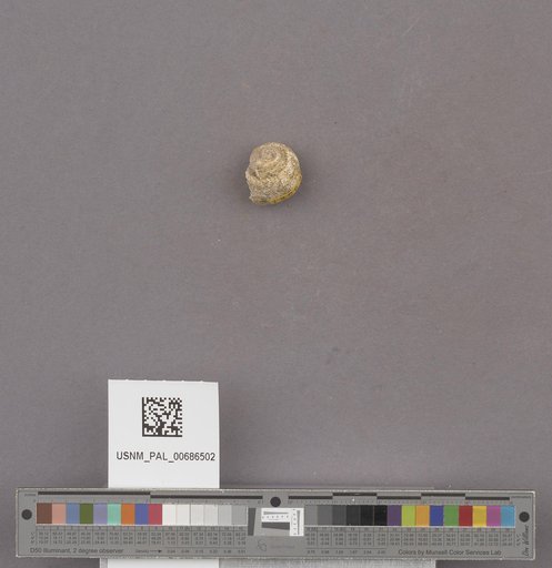 NSF ADBC EPICC TCN