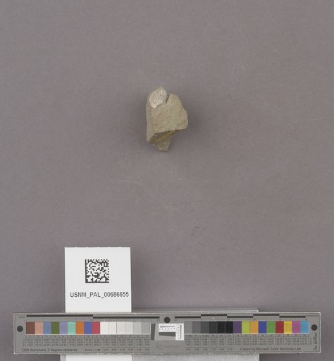 NSF ADBC EPICC TCN