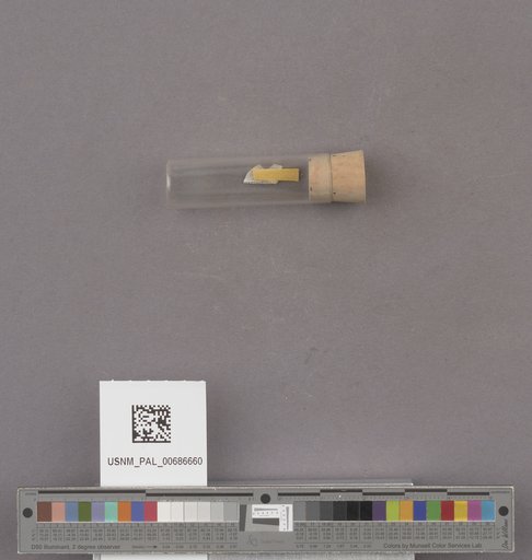 NSF ADBC EPICC TCN