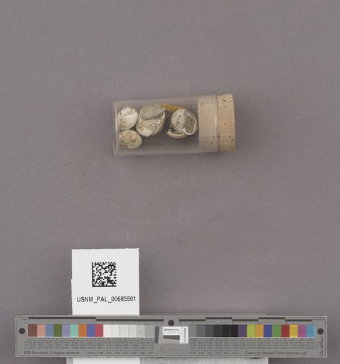NSF ADBC EPICC TCN