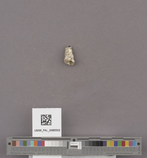 NSF ADBC EPICC TCN