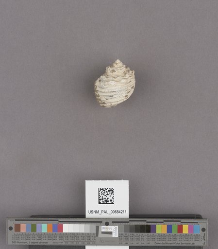 NSF ADBC EPICC TCN