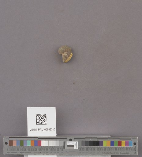 NSF ADBC EPICC TCN