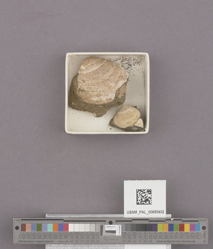 NSF ADBC EPICC TCN